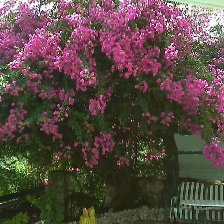 Velendzas Holidays Апарт-отель 3*